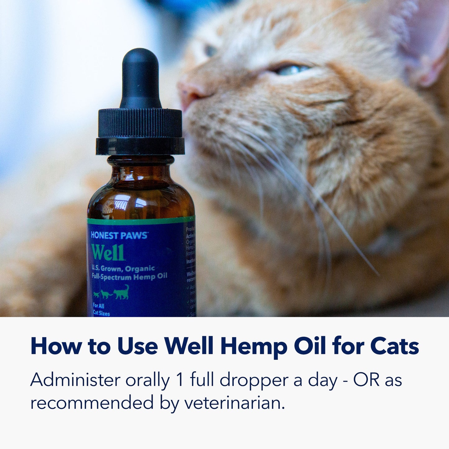 Calm CBD Cat Bundle