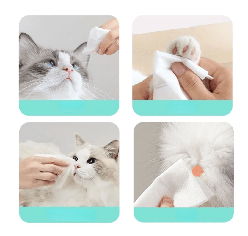 Cat/Dog Cleaning Wipes (100 Pieces) (Free Delivery)