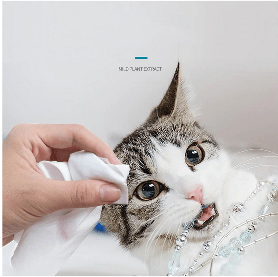 Cat/Dog Cleaning Wipes (100 Pieces) (Free Delivery)