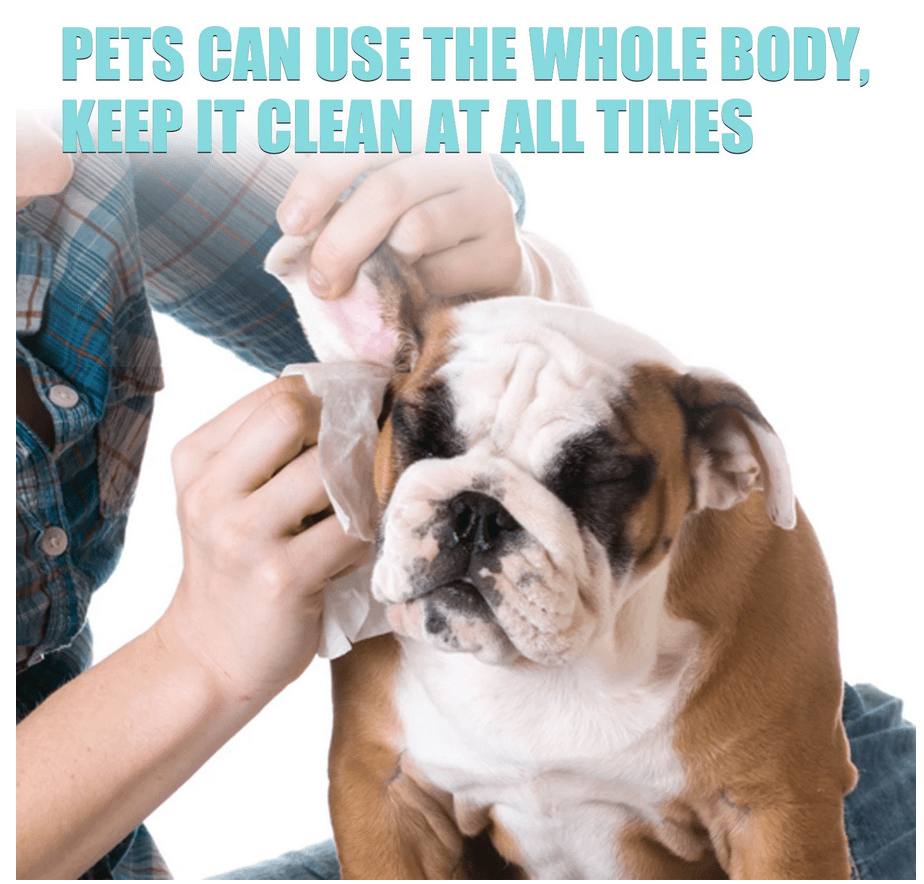 Cat/Dog Cleaning Wipes (100 Pieces) (Free Delivery)