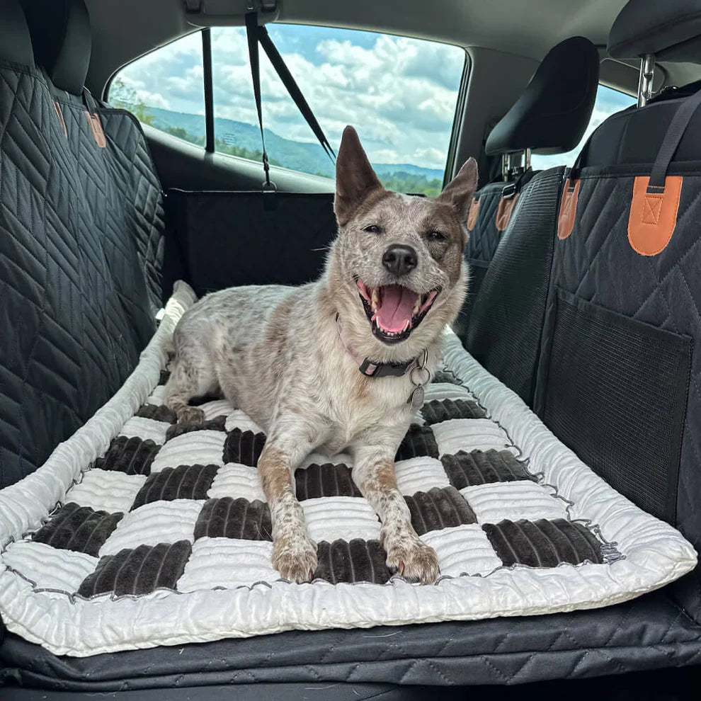 Hard Bottom Dog Car Seat Protector
