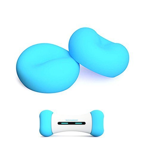 Wickedbone - Smart & Interactive Dog Chewing Toy