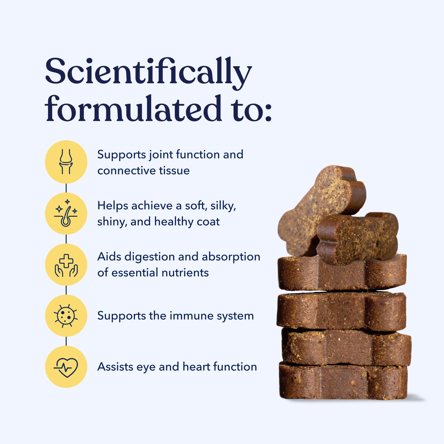Daily Multivitamin For Dogs