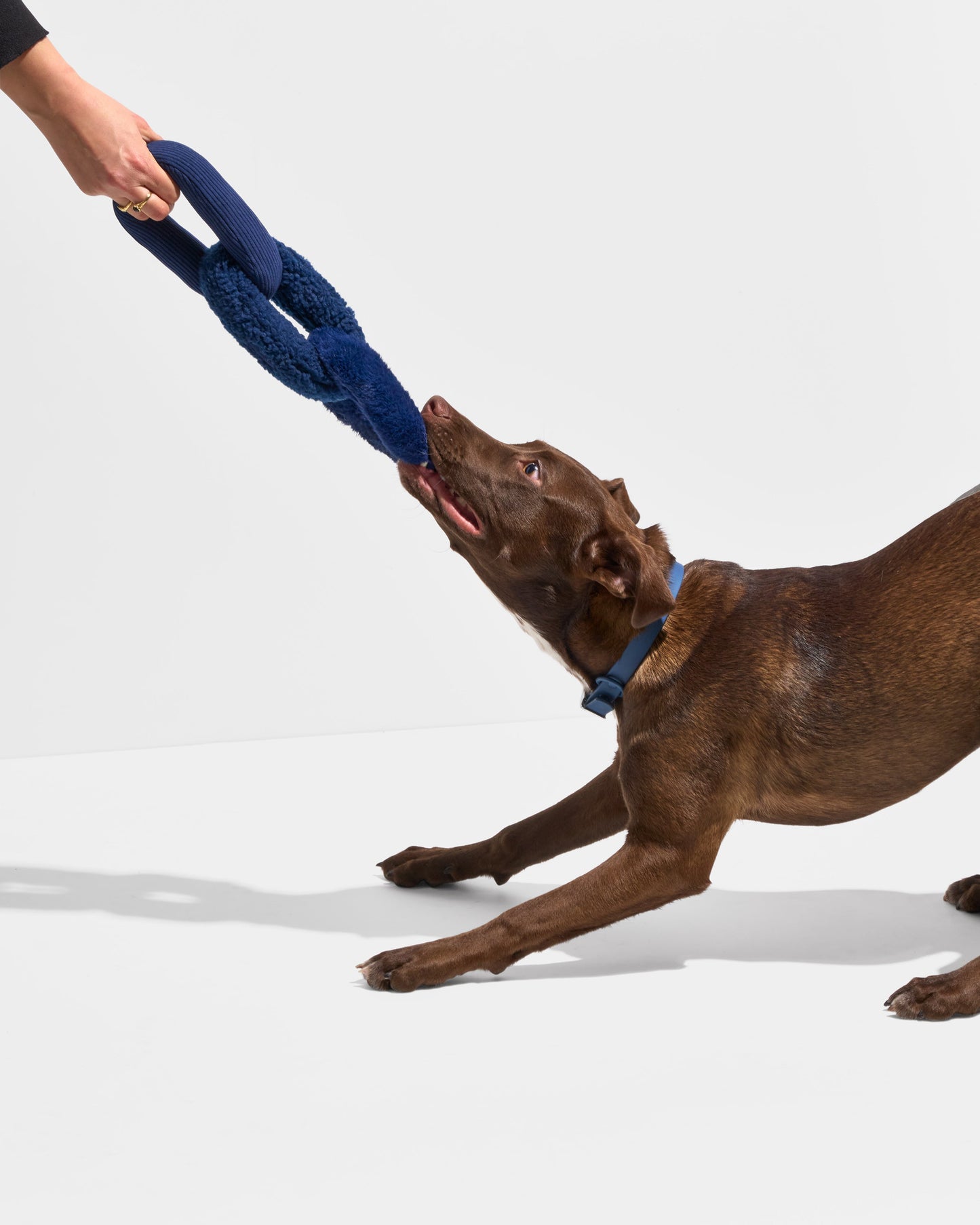 Chew Chain