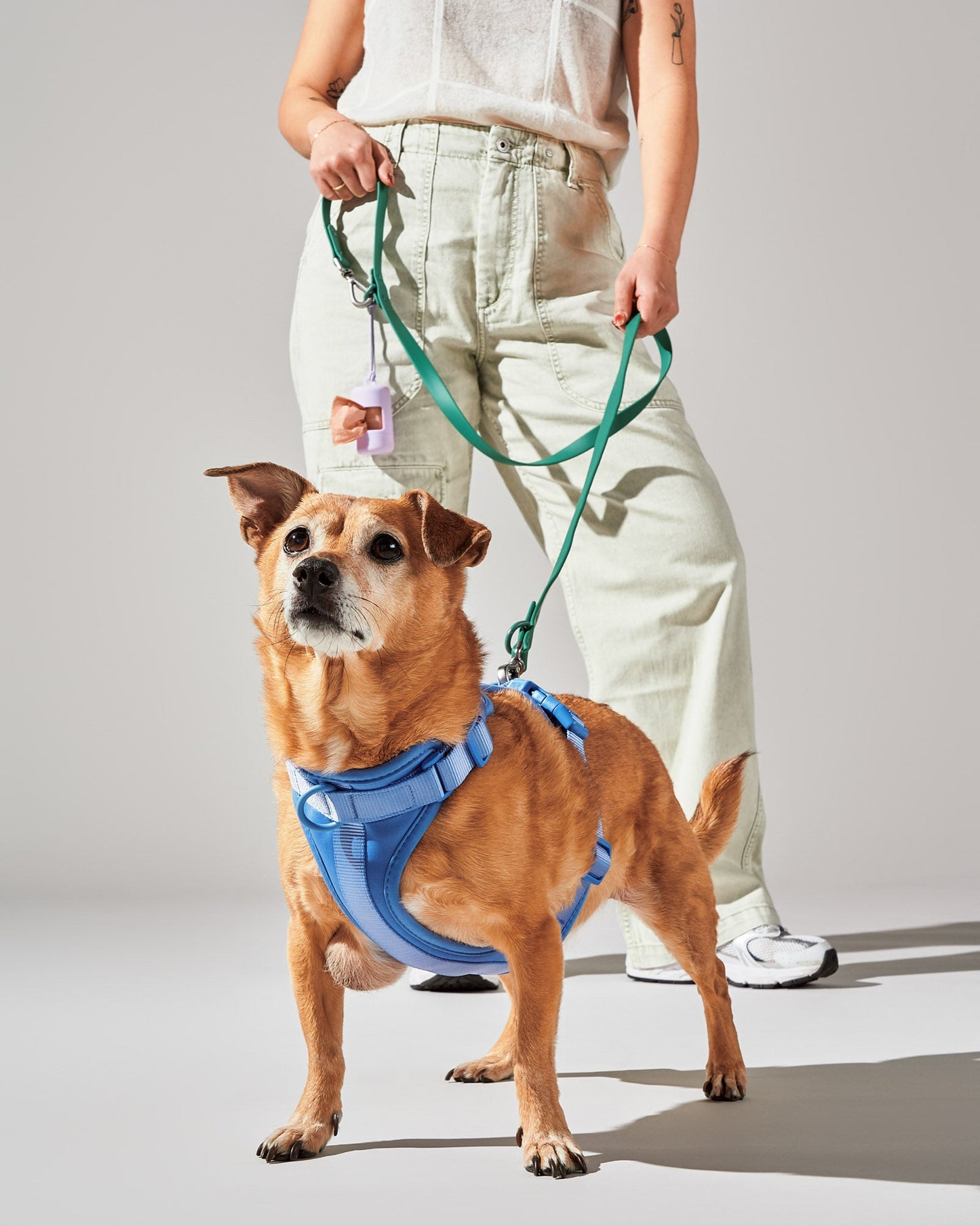 Harness Walk Kit