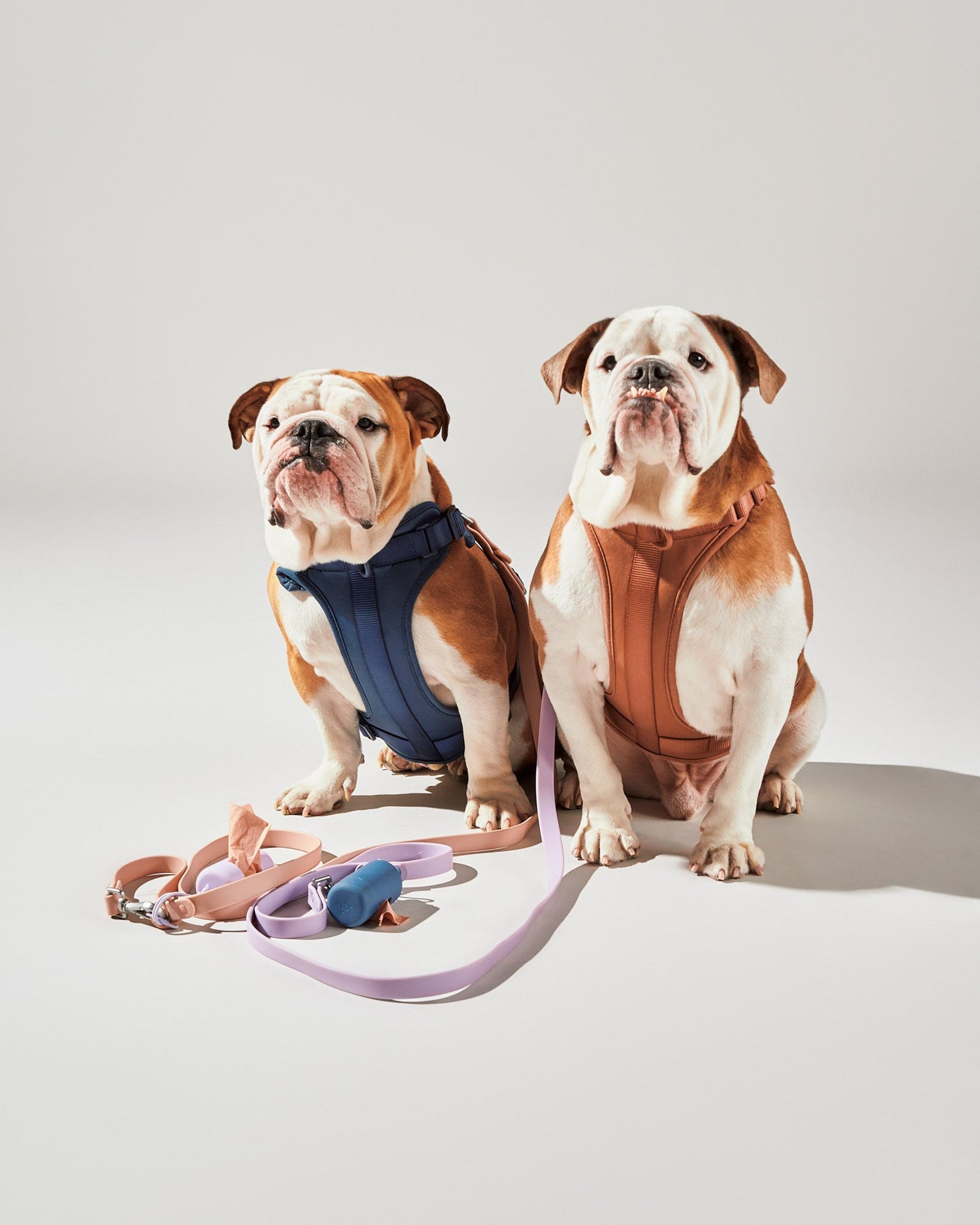 Harness Walk Kit