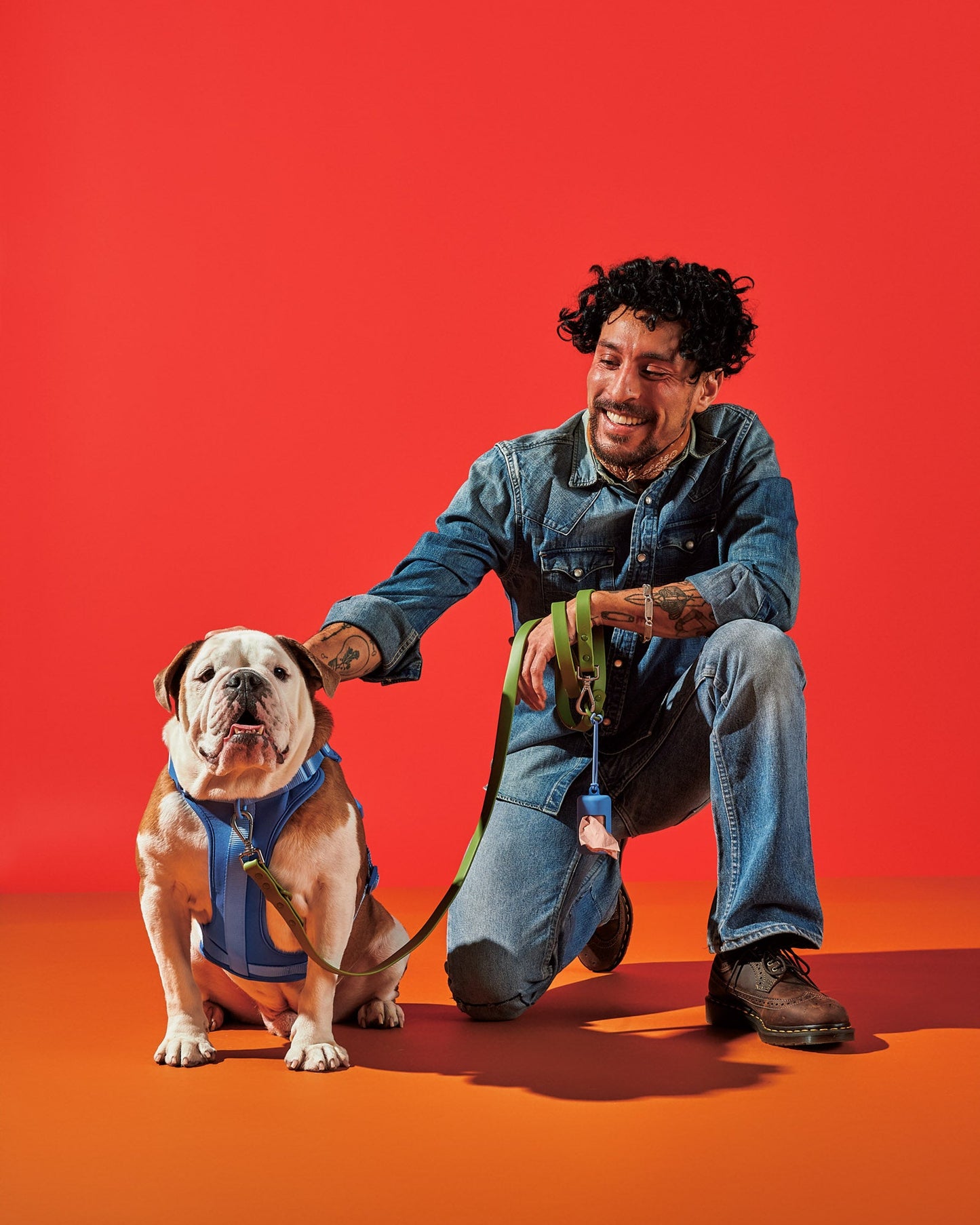 Harness Walk Kit