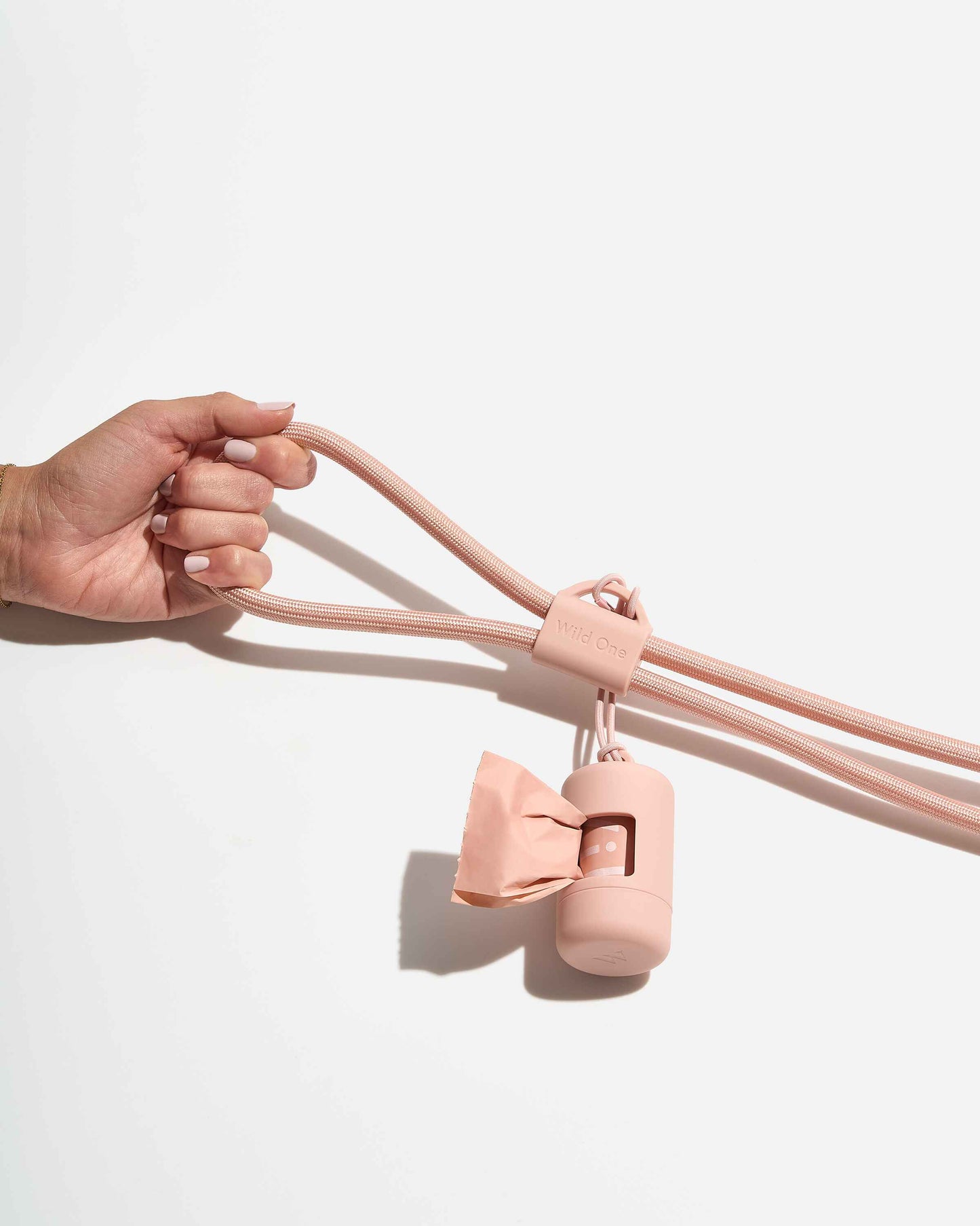 Hands-Free Collar Walk Kit