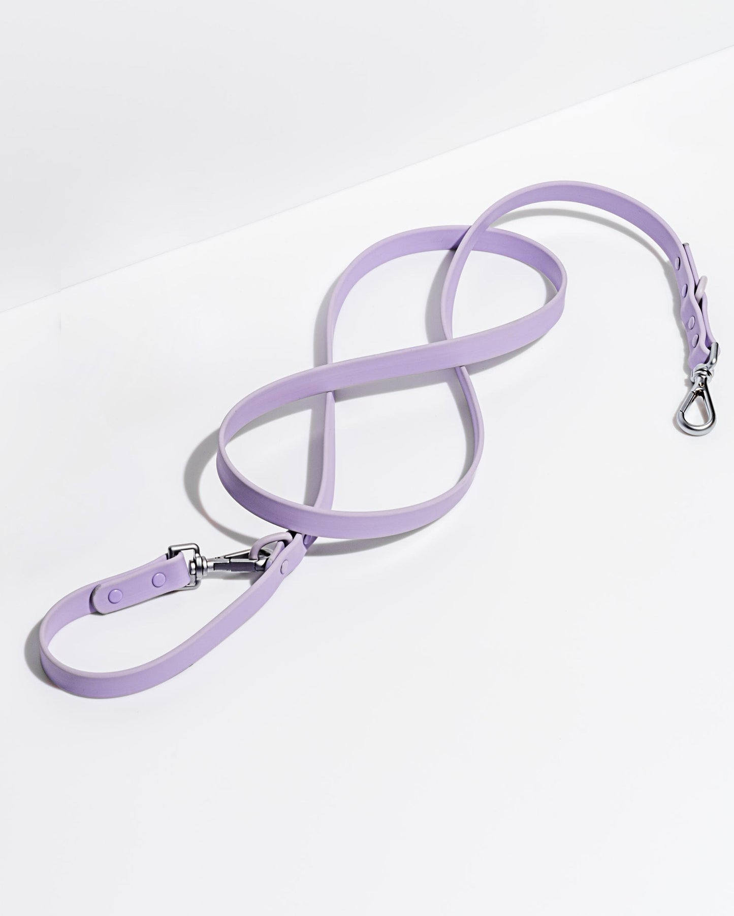Leash