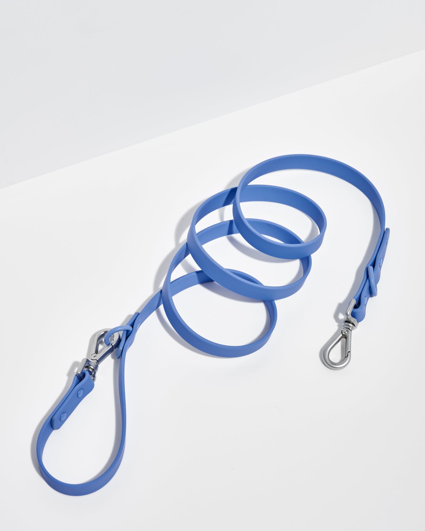 Leash