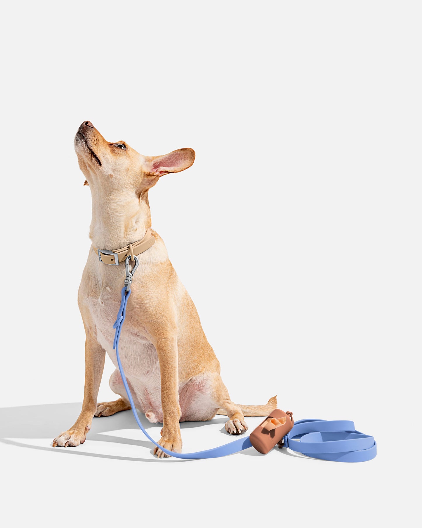 Collar Walk Kit