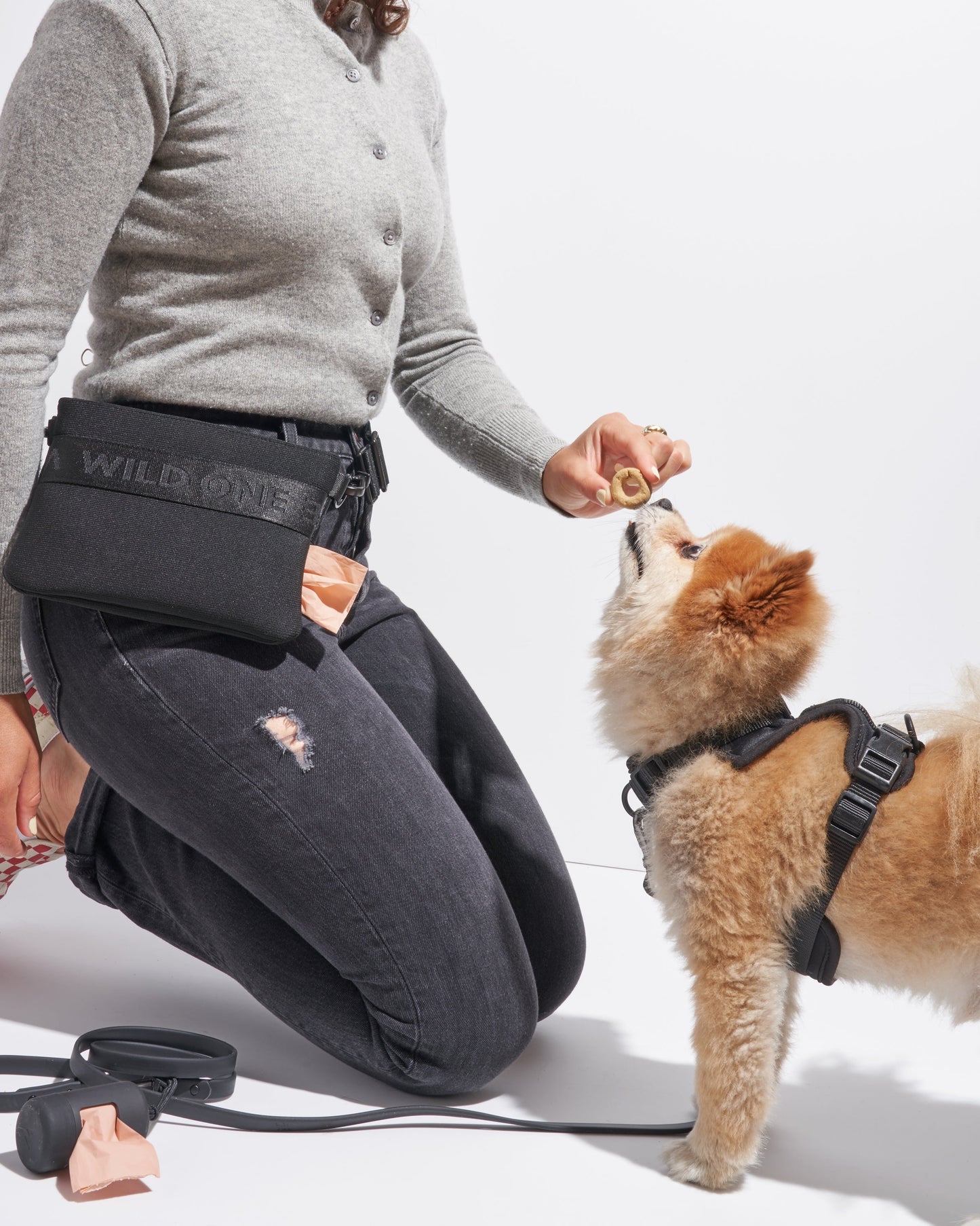 Treat Pouch Kit