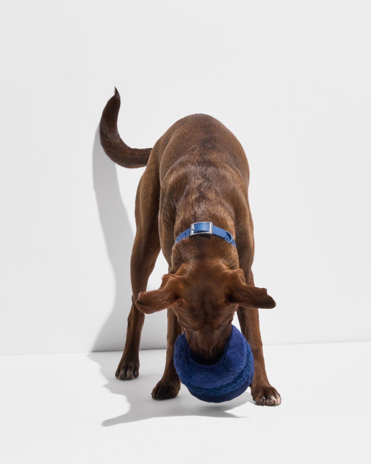 Tennis Tuft