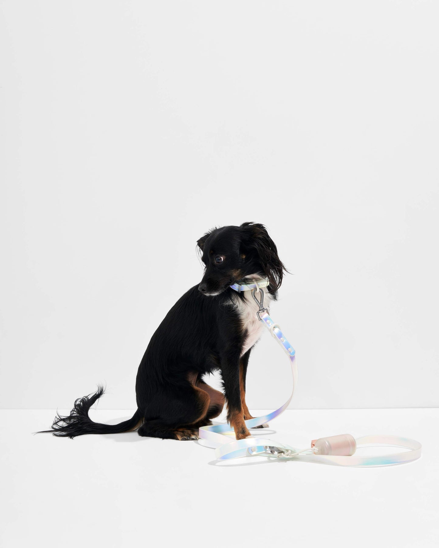 Leash
