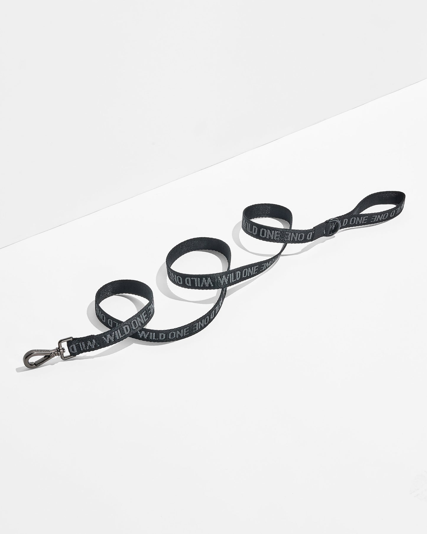 Lightweight Nylon Leash