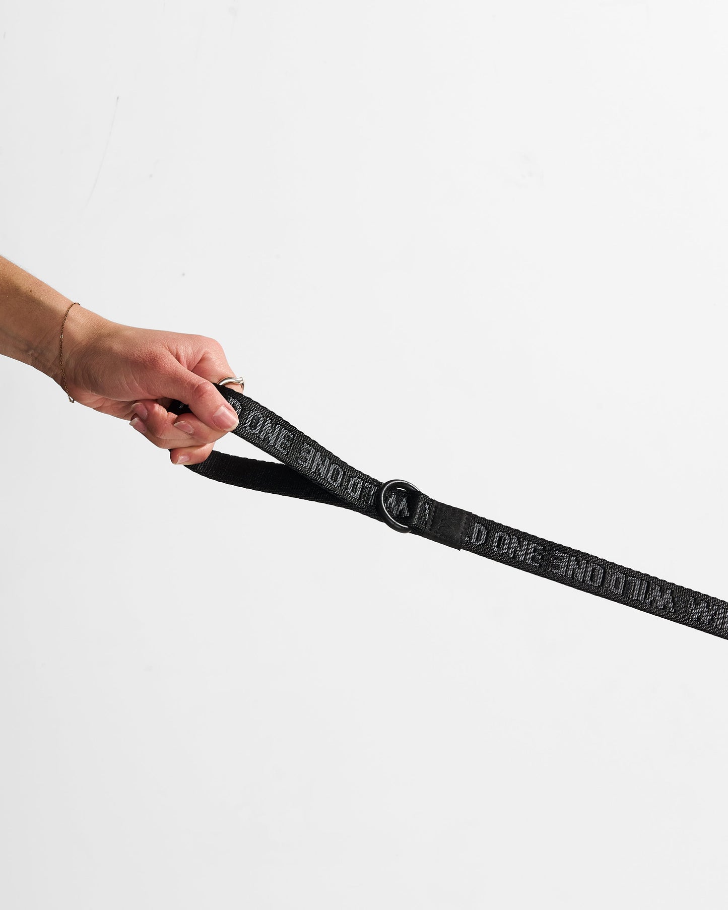 Lightweight Nylon Leash
