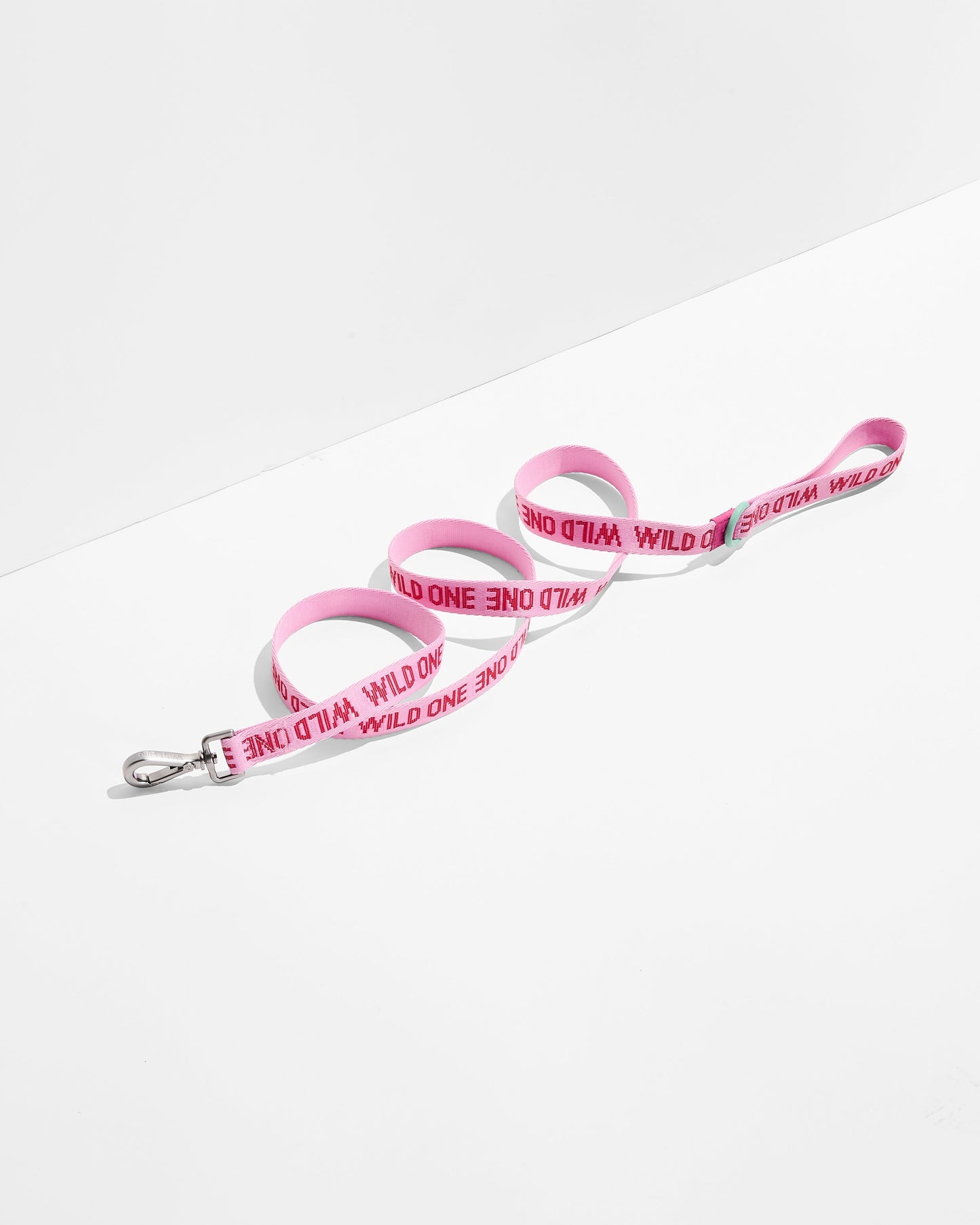 Lightweight Nylon Leash