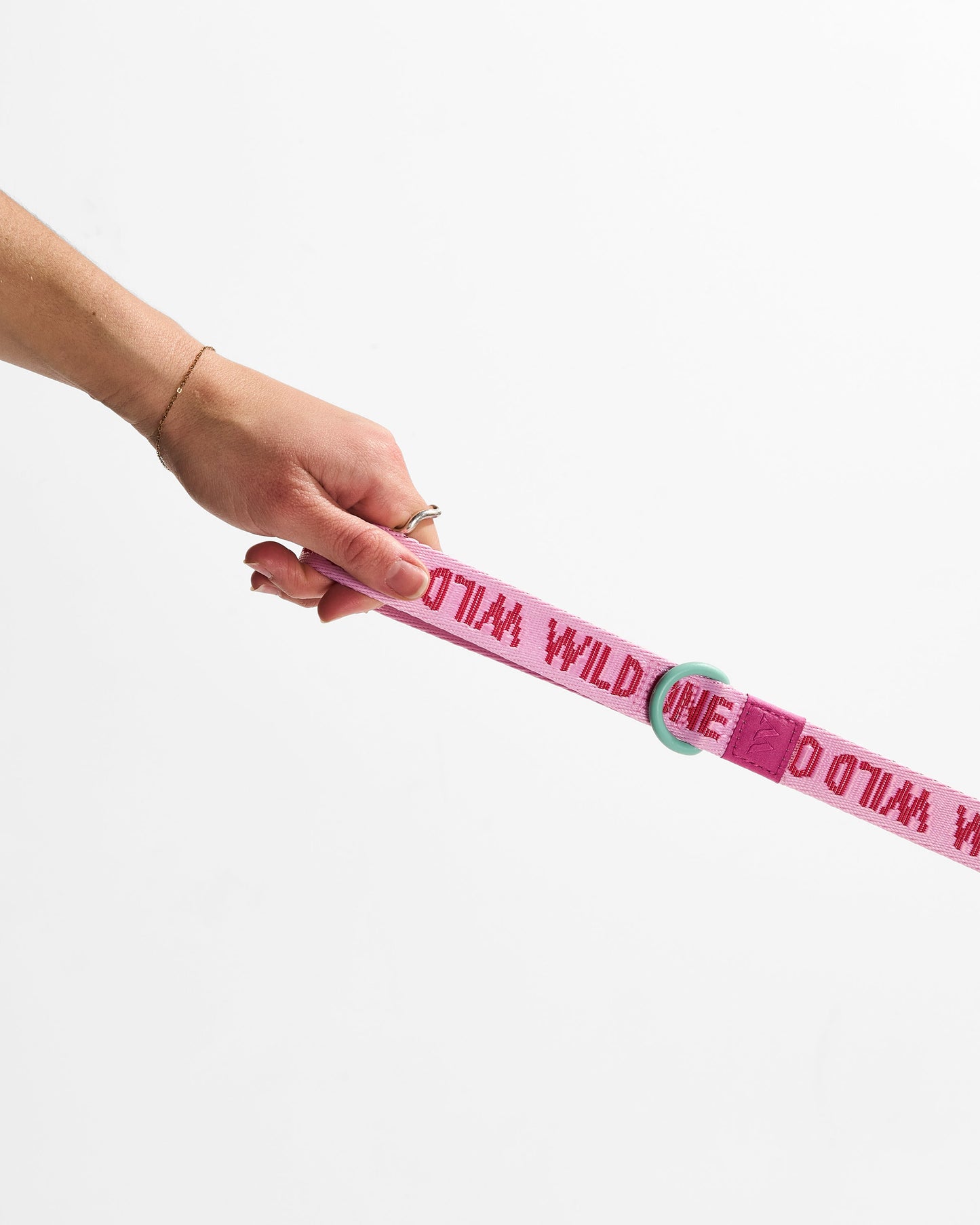 Lightweight Nylon Leash