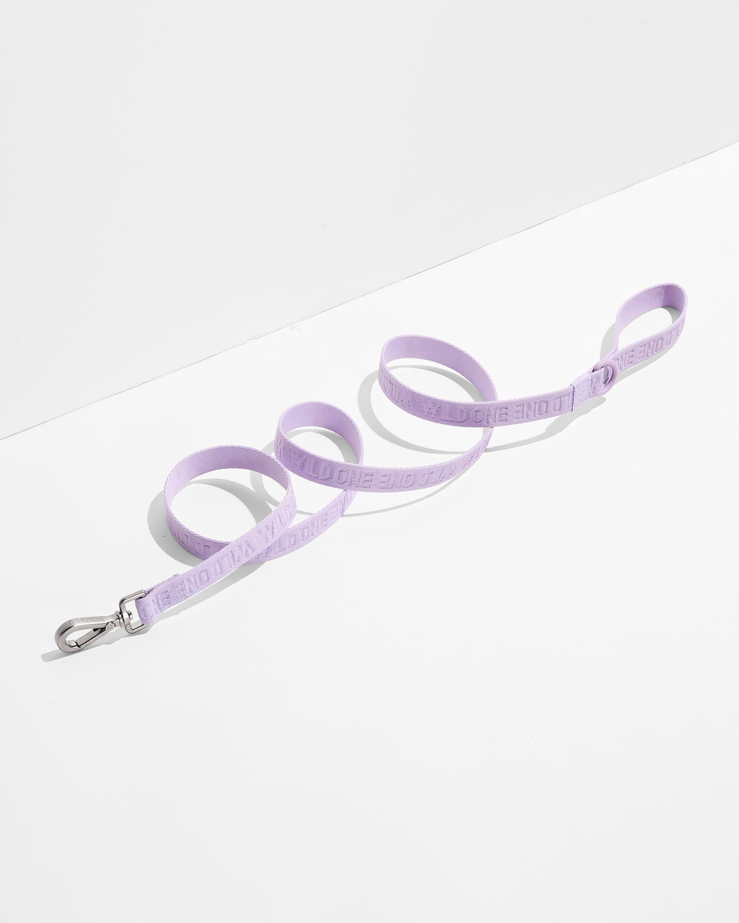 Lightweight Nylon Leash