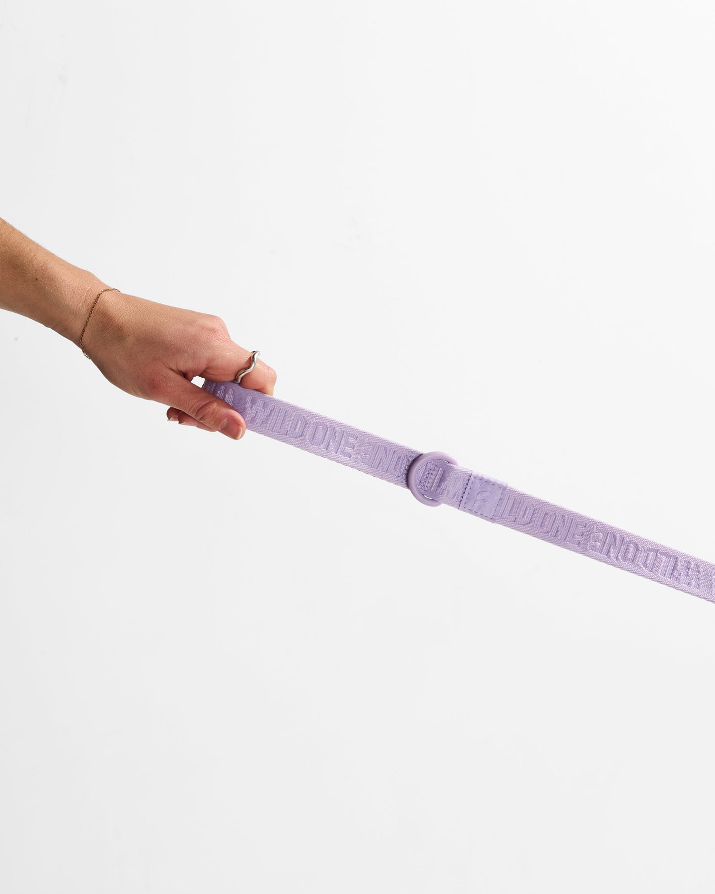 Lightweight Nylon Leash