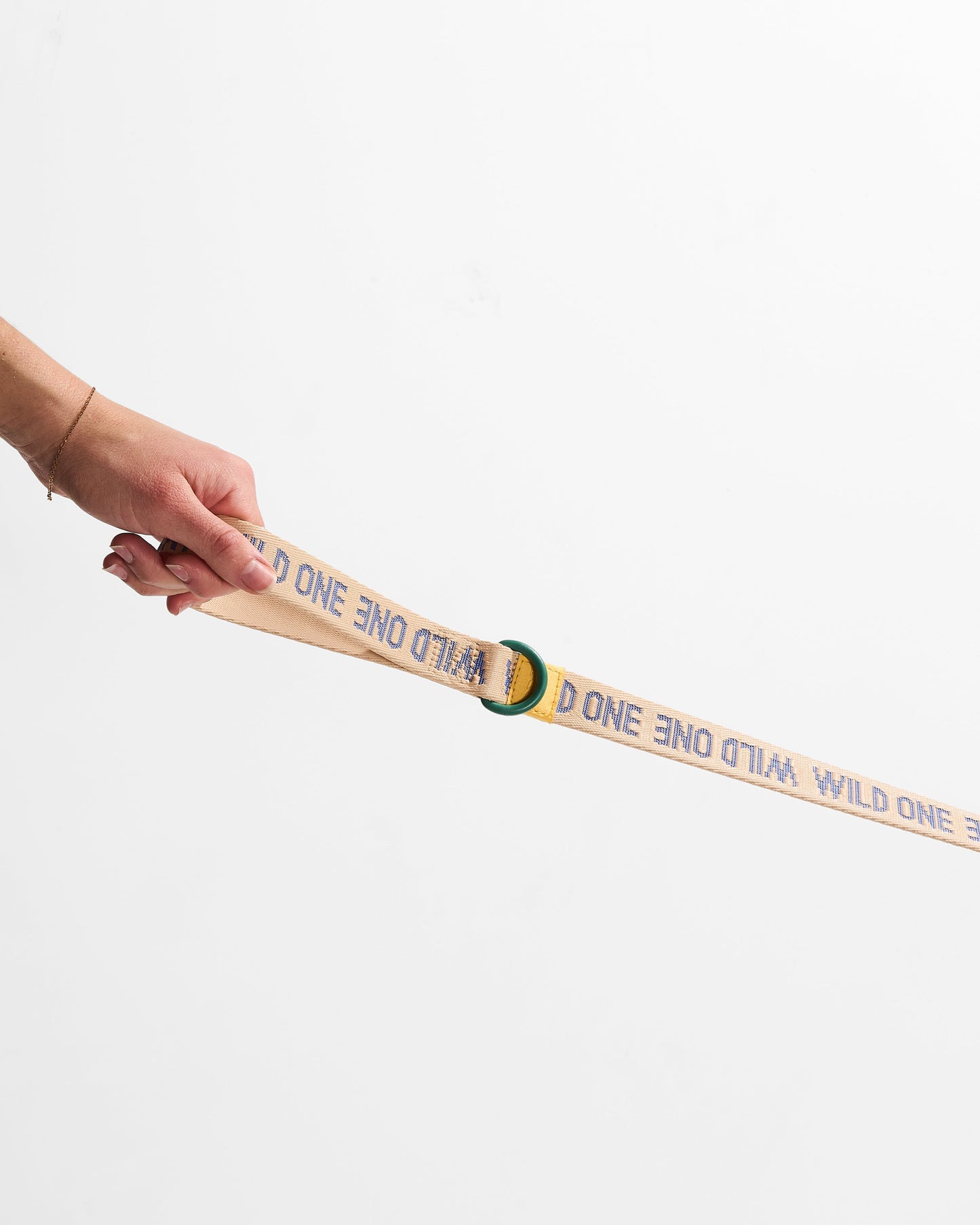 Lightweight Nylon Leash