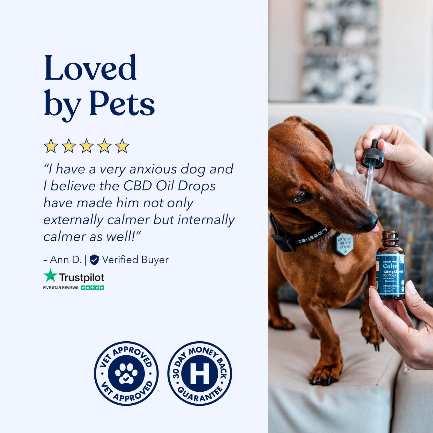 Calm CBD Essentials