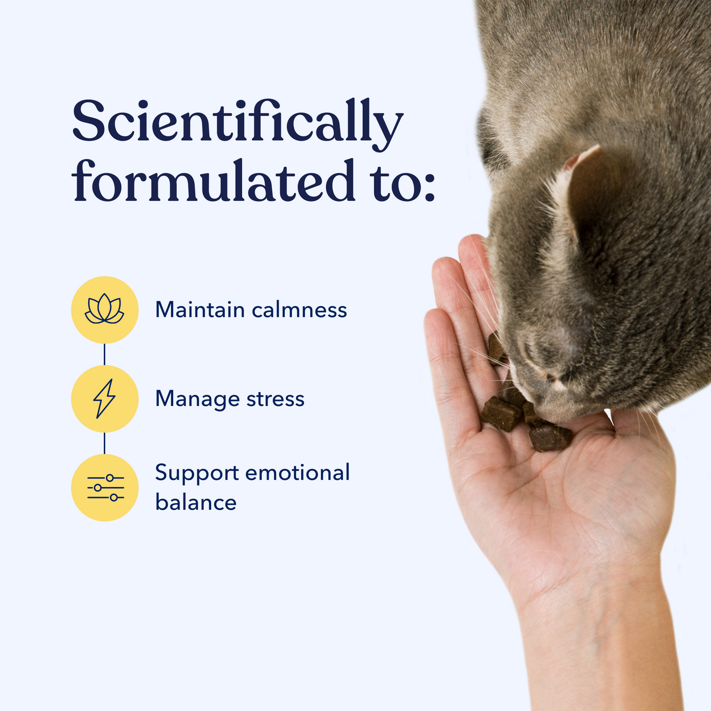 Calm Cat CBD Chews
