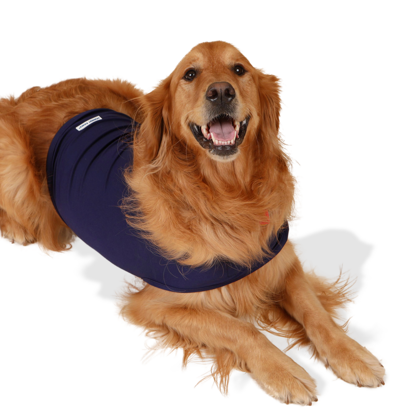 Calm Dog Vest