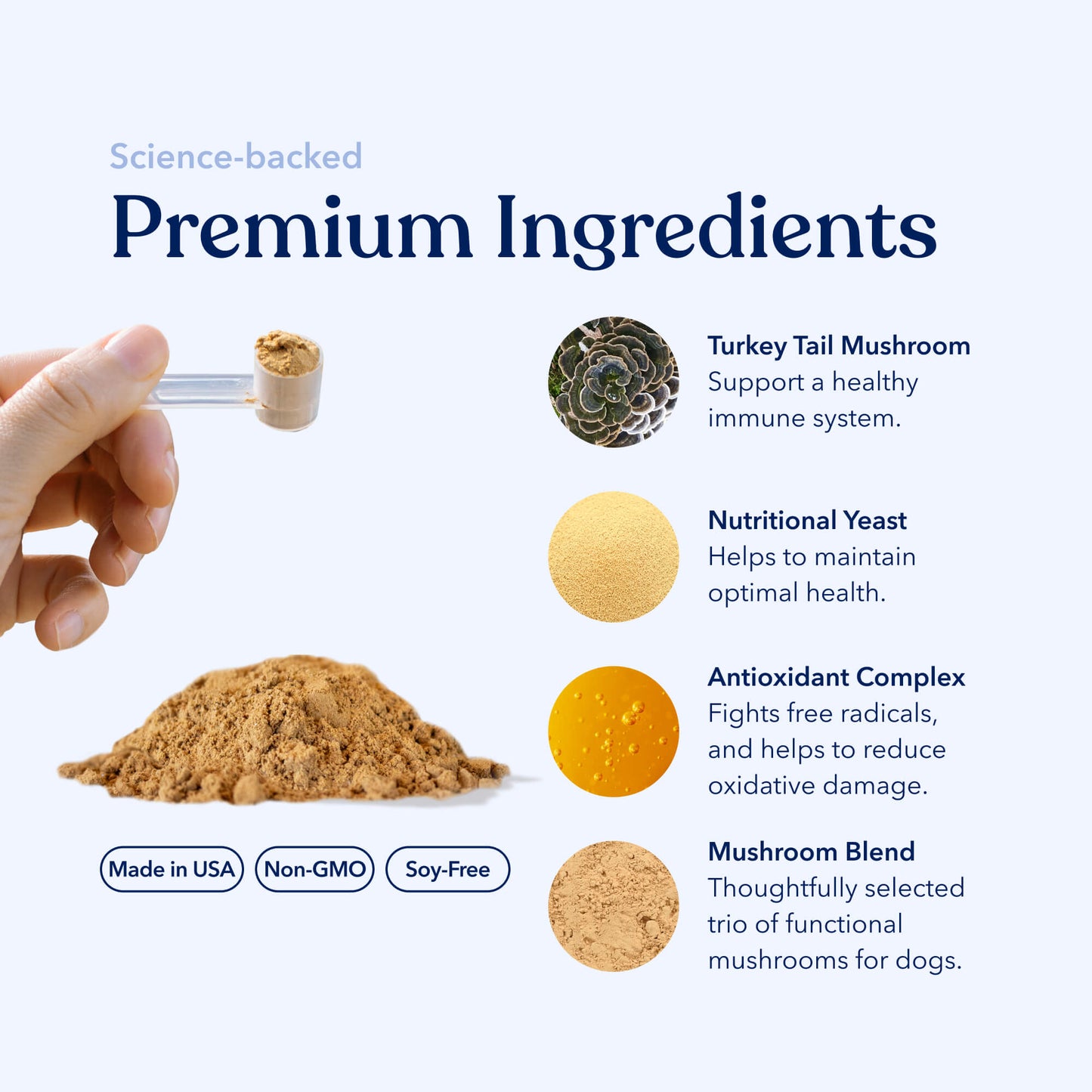 Mushroom Gut & Immune Support Powder
