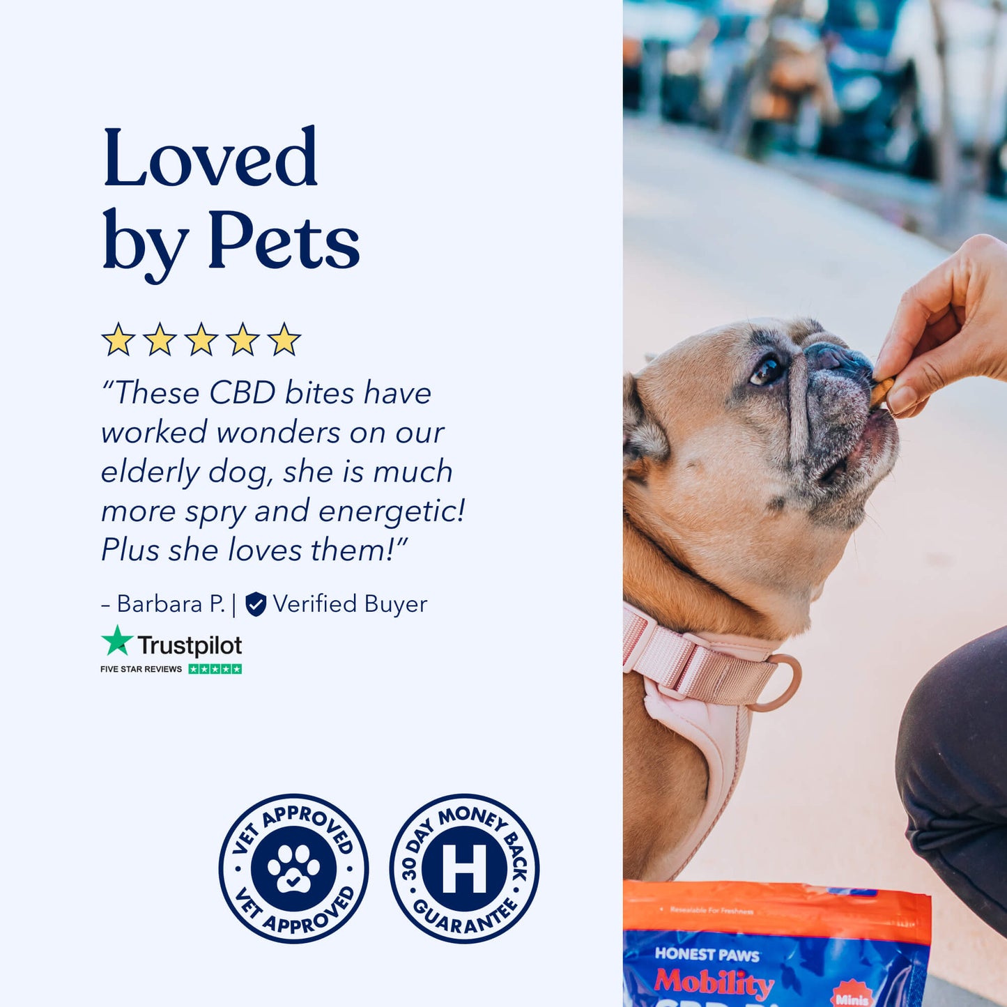 Mobility CBD Bites