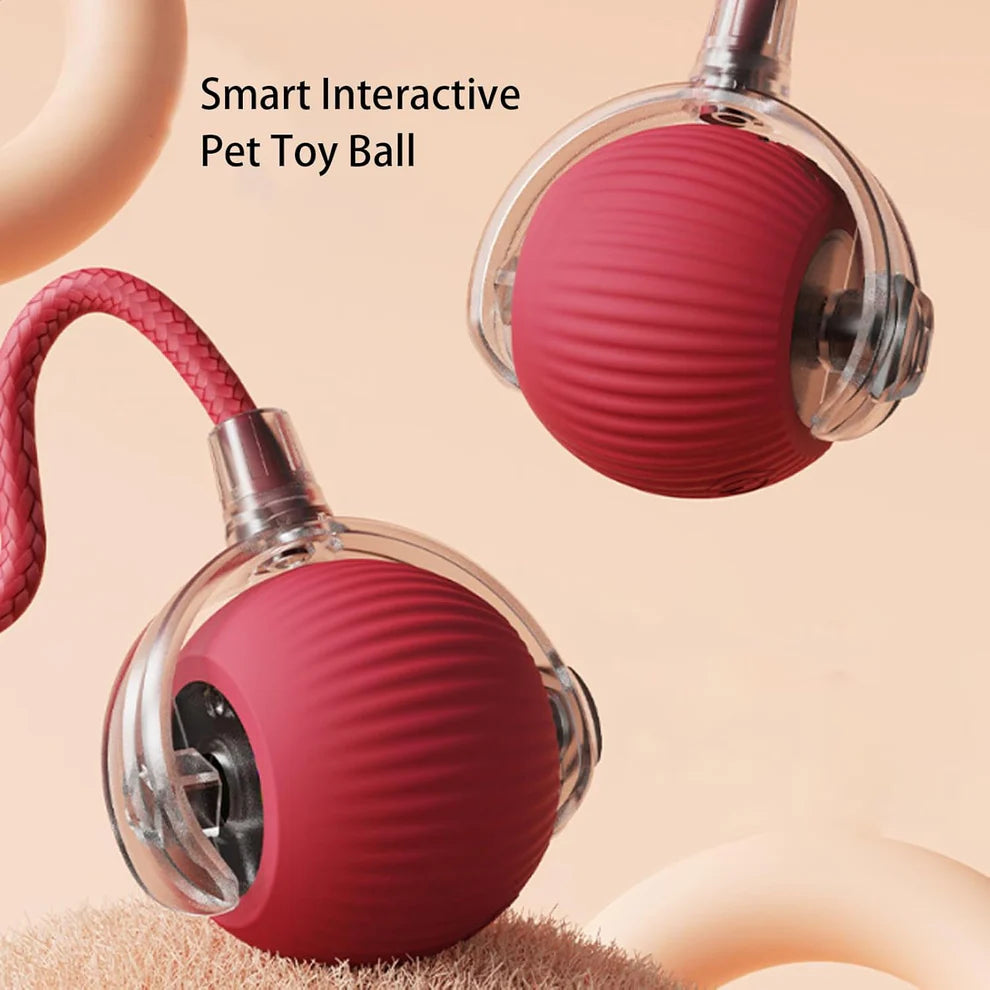 🔥Smart Chase Interactive Pet Ball-Pet Activity Toys&Pet Training Toys🐾