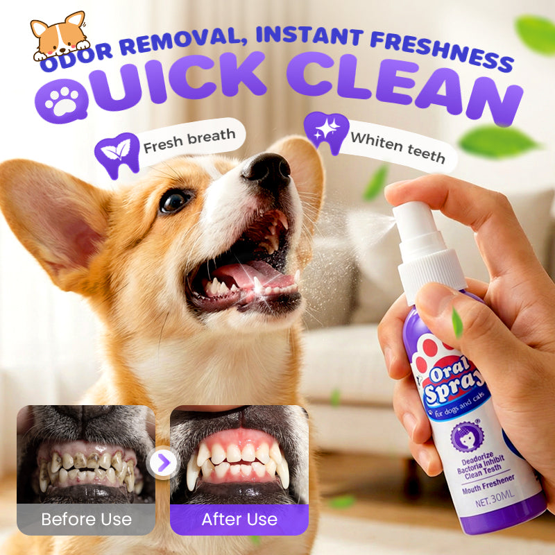 How to Clean Your Pet's Teeth Without Brushing: A Complete Guide