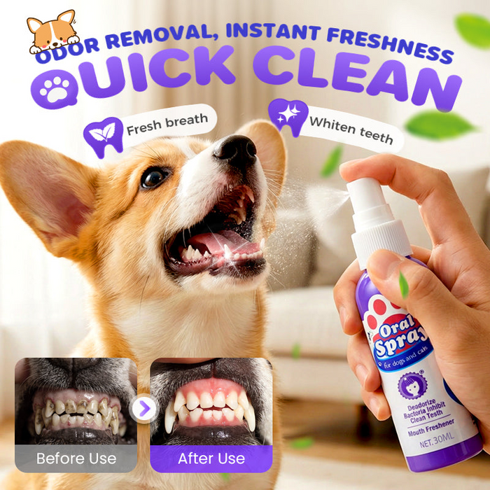 How to Clean Your Pet's Teeth Without Brushing: A Complete Guide