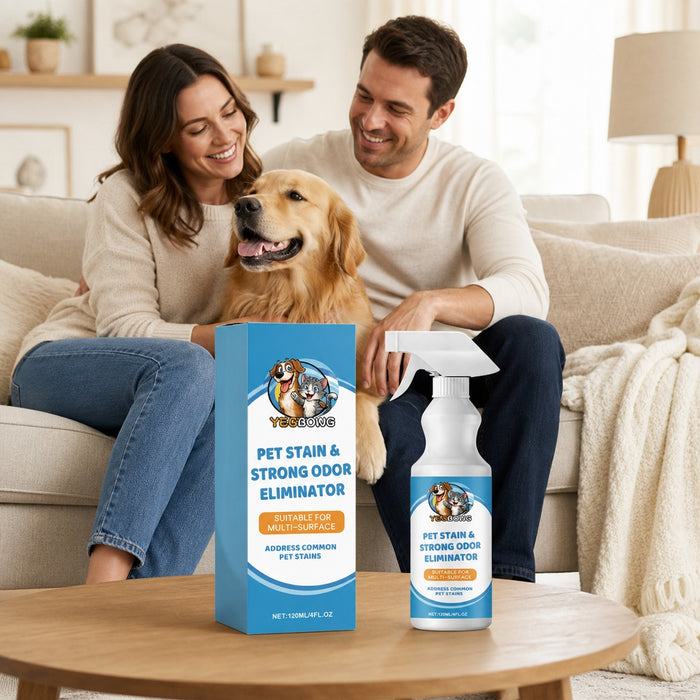 Pet owners relaxing in a living room with their dog on a clean rug