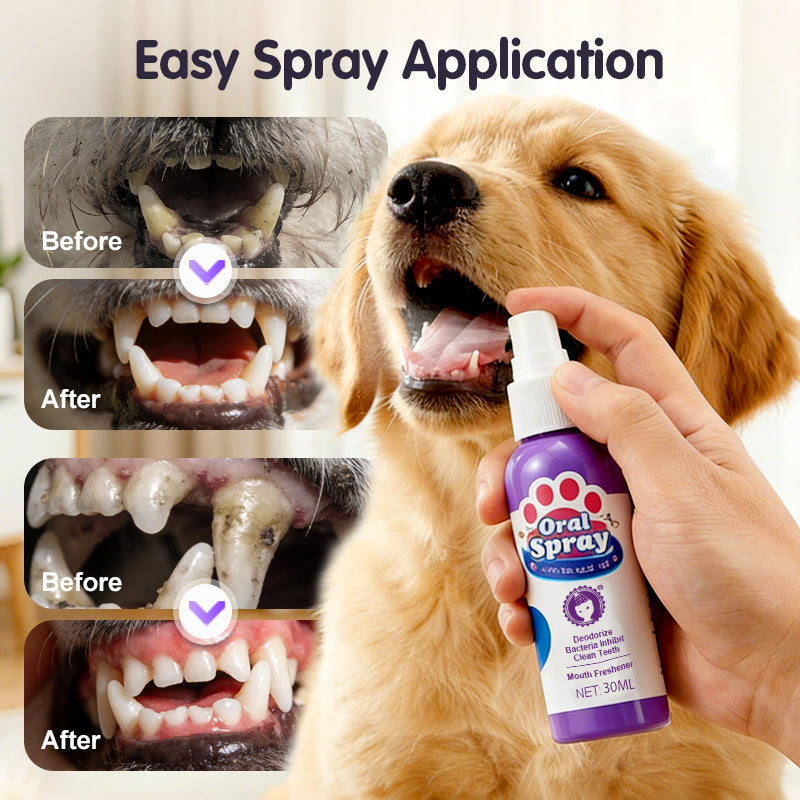 Teeth Cleaning Spray for Pets