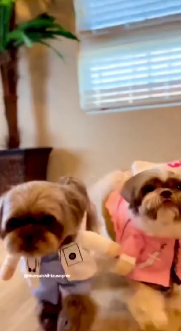 Doctor Pup  Halloween  Costume