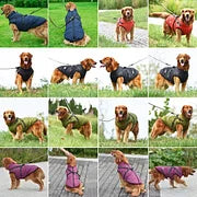 Waterproof Winter Stylish Dog Jacket with Built-in Harness
