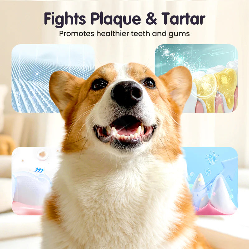 Teeth Cleaning Spray for Pets