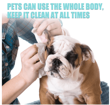 Cat/Dog Cleaning Wipes (100 Pieces)  (Free Delivery)