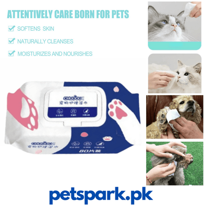 Cat/Dog Cleaning Wipes (100 Pieces)  (Free Delivery)