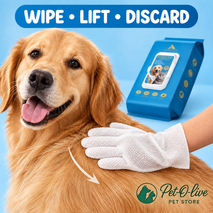 Wipe, lift, discard - using a Pet-O-live grooming glove on a dog