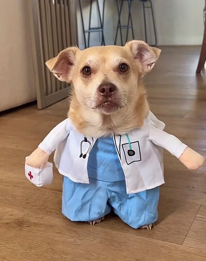Doctor Pup  Halloween  Costume