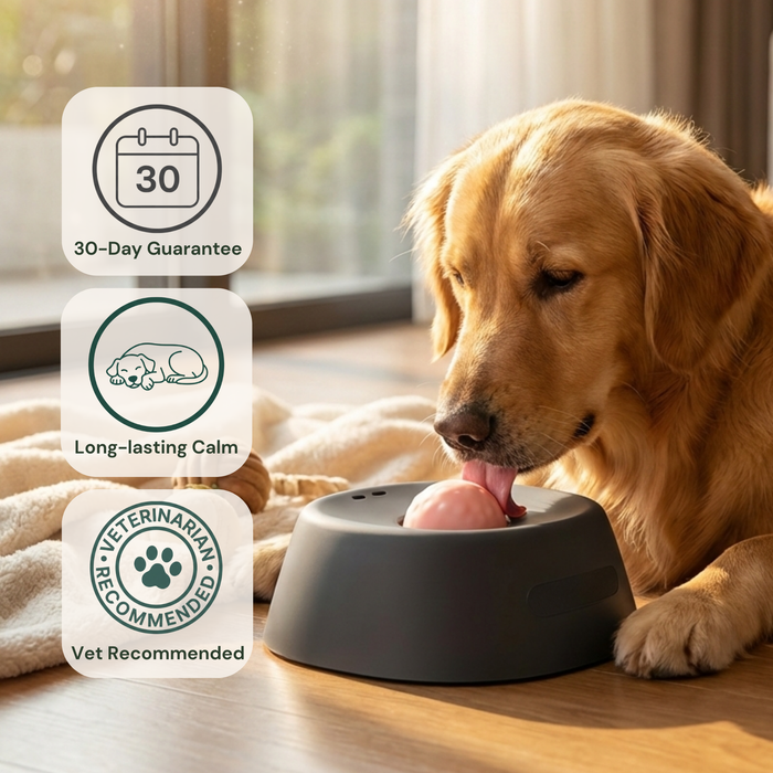 Lick-Pacing Calming Bowl