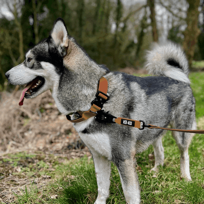 Combat Collar K9-KO