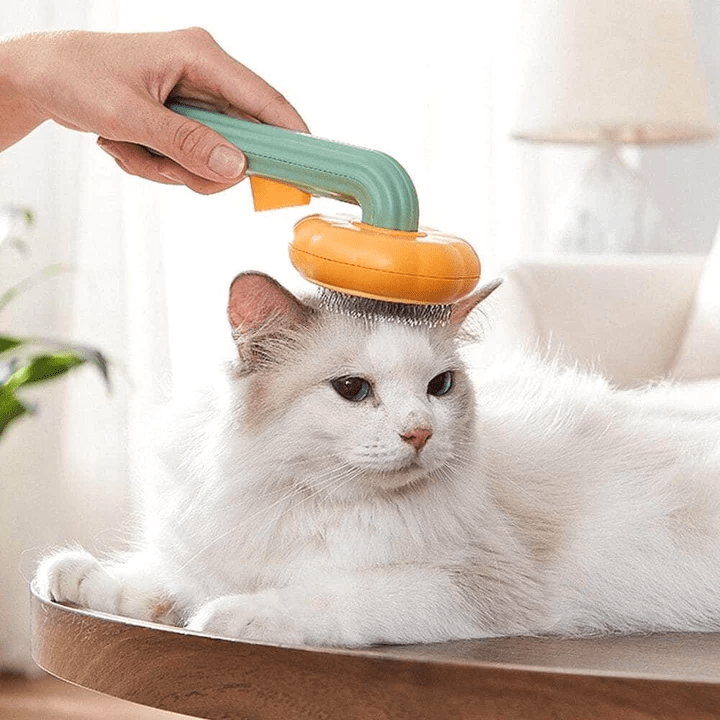 PumpKin Pie Self-Cleaning Brush