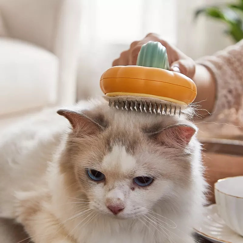 PumpKin Pie Self-Cleaning Brush