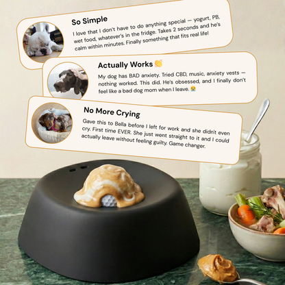 Lick-Pacing Calming Bowl