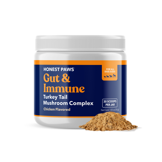 Mushroom Gut & Immune Support Powder
