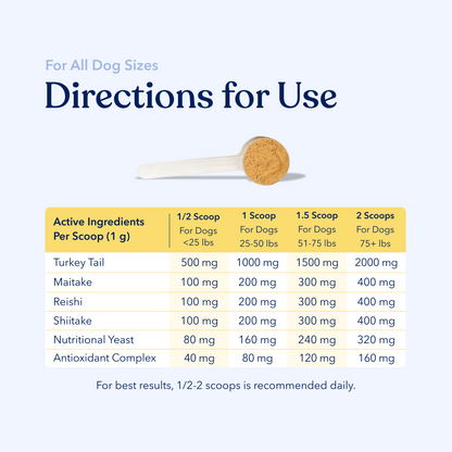 Mushroom Gut & Immune Support Powder