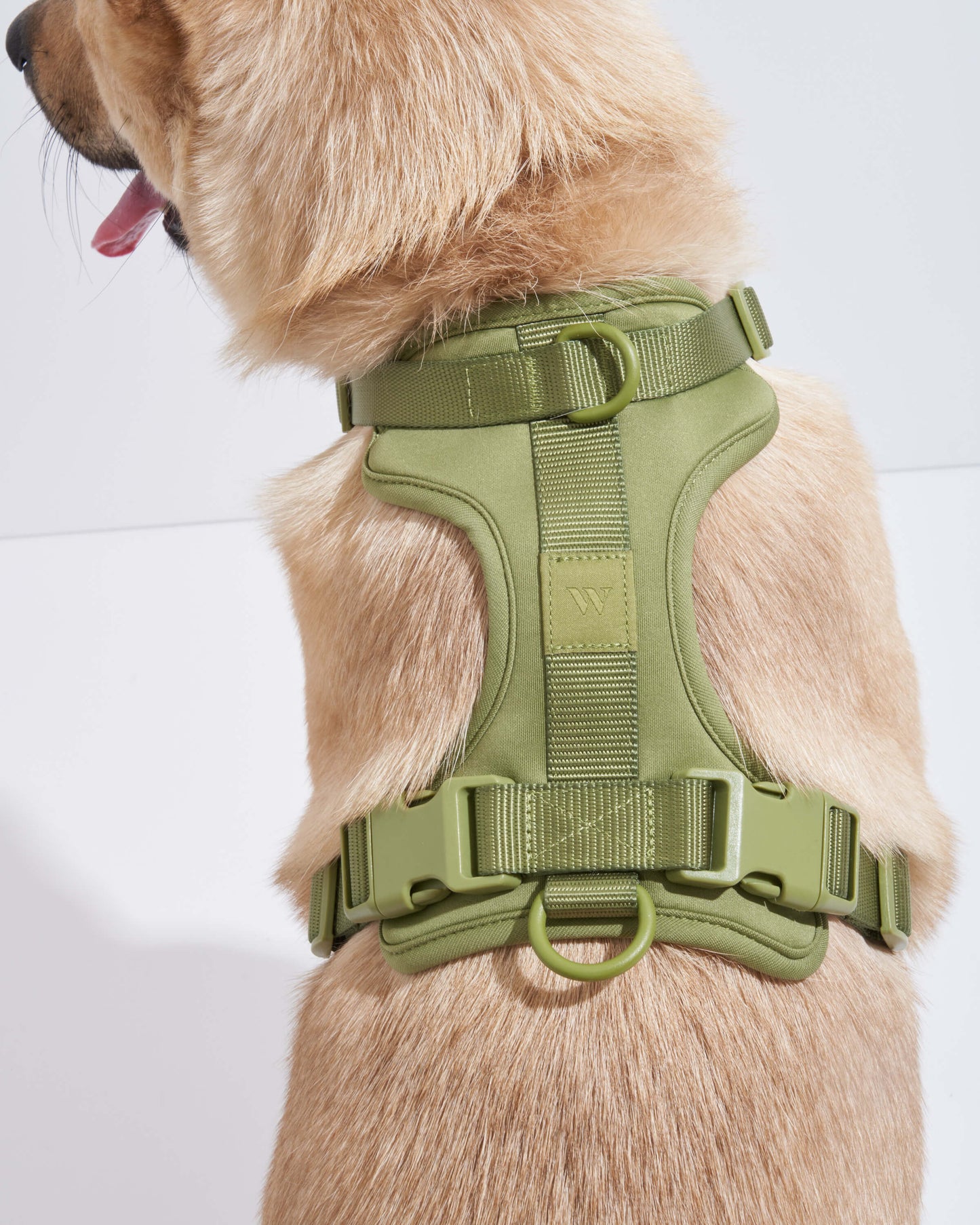 Harness
